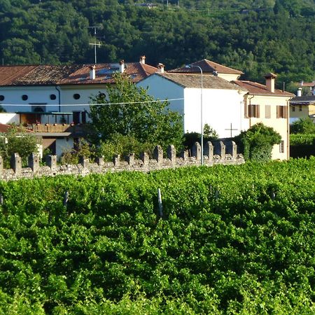 Agriturismo Grillo Iole Winery Prepotto  Ngoại thất bức ảnh