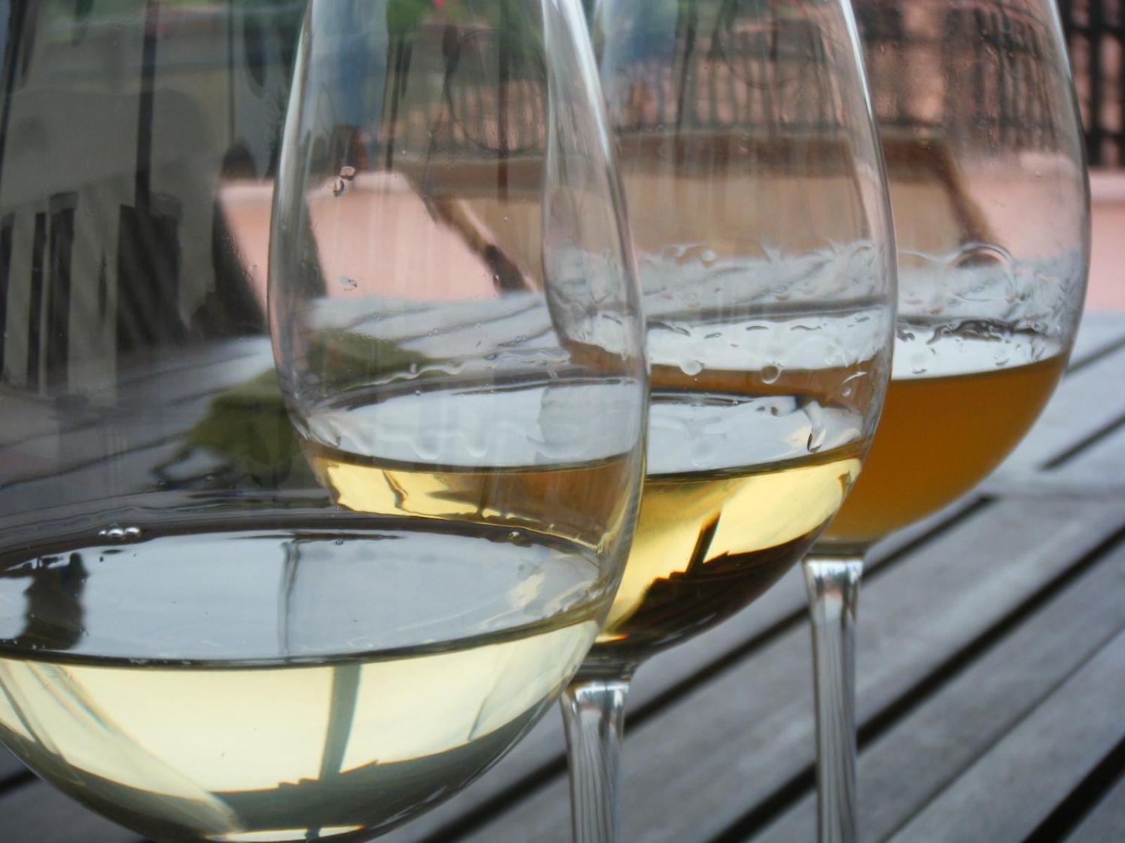 Agriturismo Grillo Iole Winery Prepotto  Ngoại thất bức ảnh